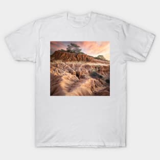 Torrey Pines State Reserve T-Shirt